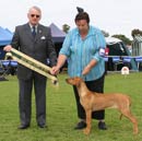 baby in show