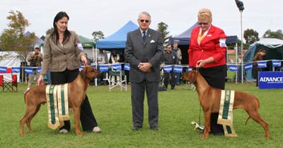 best in show