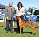 reserve dog