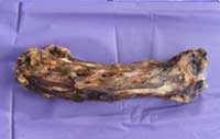 lamb necks