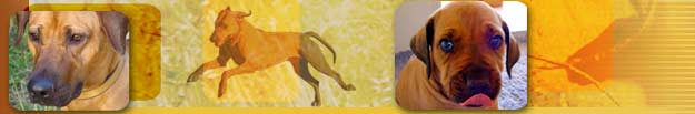 RRCSA site random banner image