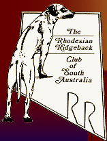 RRcsa official logo click to return to the home page