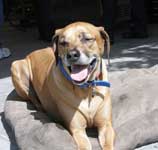coby