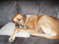 coby