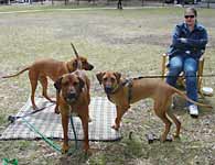 fun day 2007
