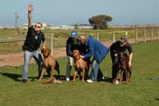 Rhodesian Ridgebacks Racing Day