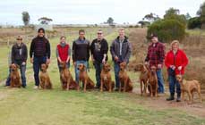 Rhodesian Ridgebacks Racing Day