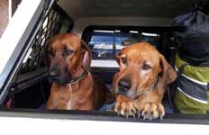 Ratu and Manu